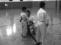 Dojo 2013-50